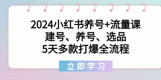 图片[1]-2024小红书养号+流量课：建号、养号、选品，5天多款打爆全流程-shxbox省心宝盒