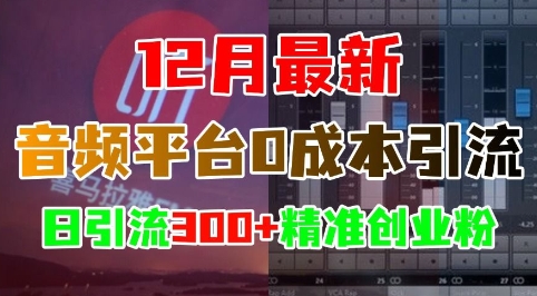 12月最新：音频平台0成本引流，日引流300+精准创业粉