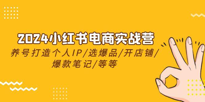 图片[1]-2024小红书电商实战营，养号打造IP/选爆品/开店铺/爆款笔记/等等(24节)-shxbox省心宝盒