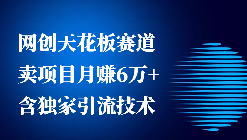 图片[1]-网创天花板赛道，卖项目月赚6万+，含独家引流技术(共26节课)-shxbox省心宝盒