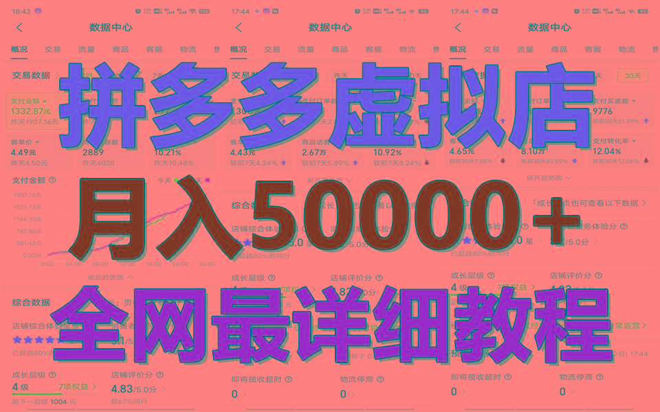 图片[1]-拼多多虚拟电商训练营月入50000+你也行，暴利稳定长久，副业首选-shxbox省心宝盒